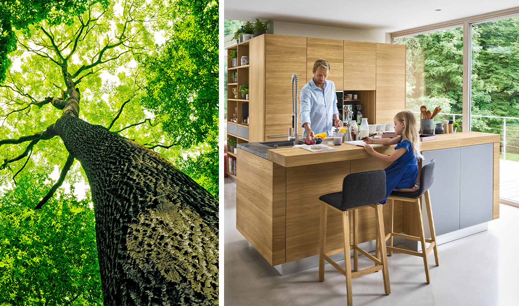 moderne Küche mit hellen Holzfronten Baumstamm Wald